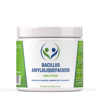 Bacillus amyloliquefaciens | 10 billion CFU/g